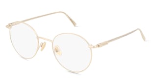 variant 27960 / Ferragamo SF2229 / Złoty