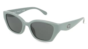 variant 30455 / Coach 0HC8434U CBY91 / Grau