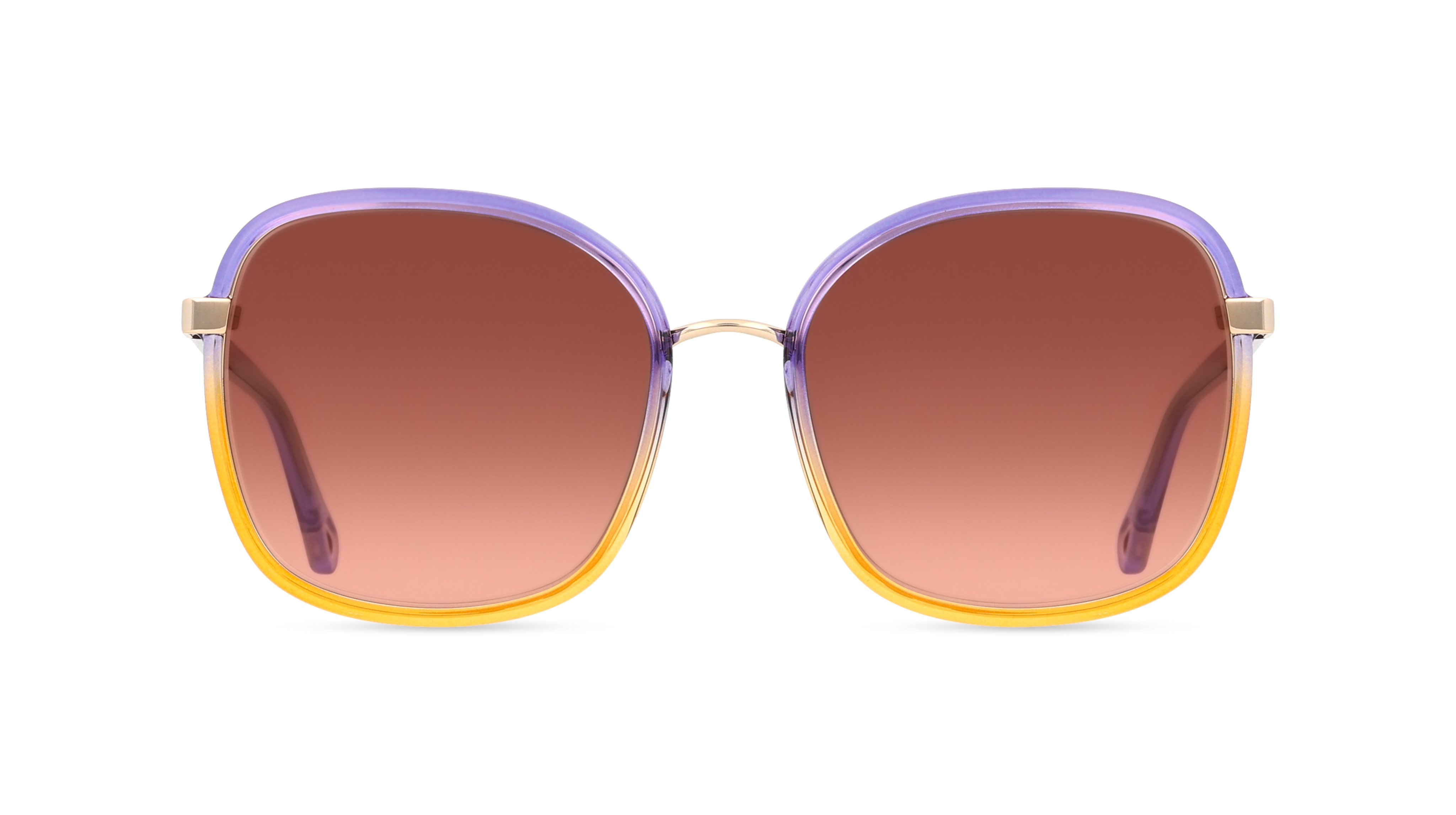 Chloé CH0031S