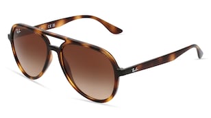 variant 6648 / Ray-Ban RB 4376 / Havanna