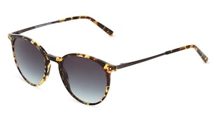 variant 5427 / Marc O'Polo Eyewear 506183 / Havanna Transparent