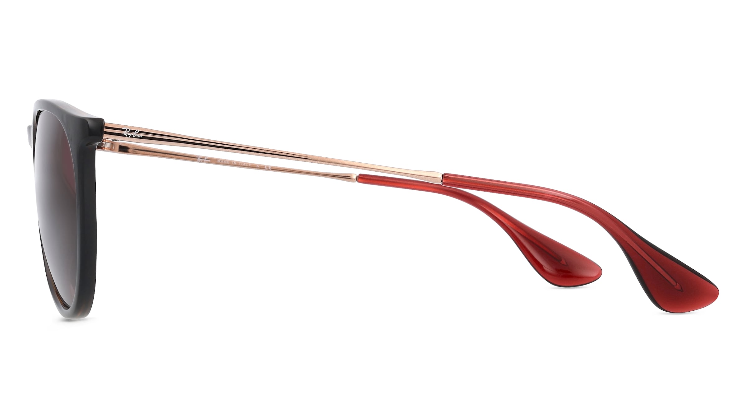 Ray-Ban RB 4171 ERIKA