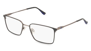 variant 29942 / Fielmann BE 036 FLEX CL LUDWIG / Grau Gun