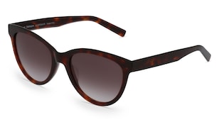variant 3387 / Fielmann MF 019 SUN FA / Havanna Lesklá
