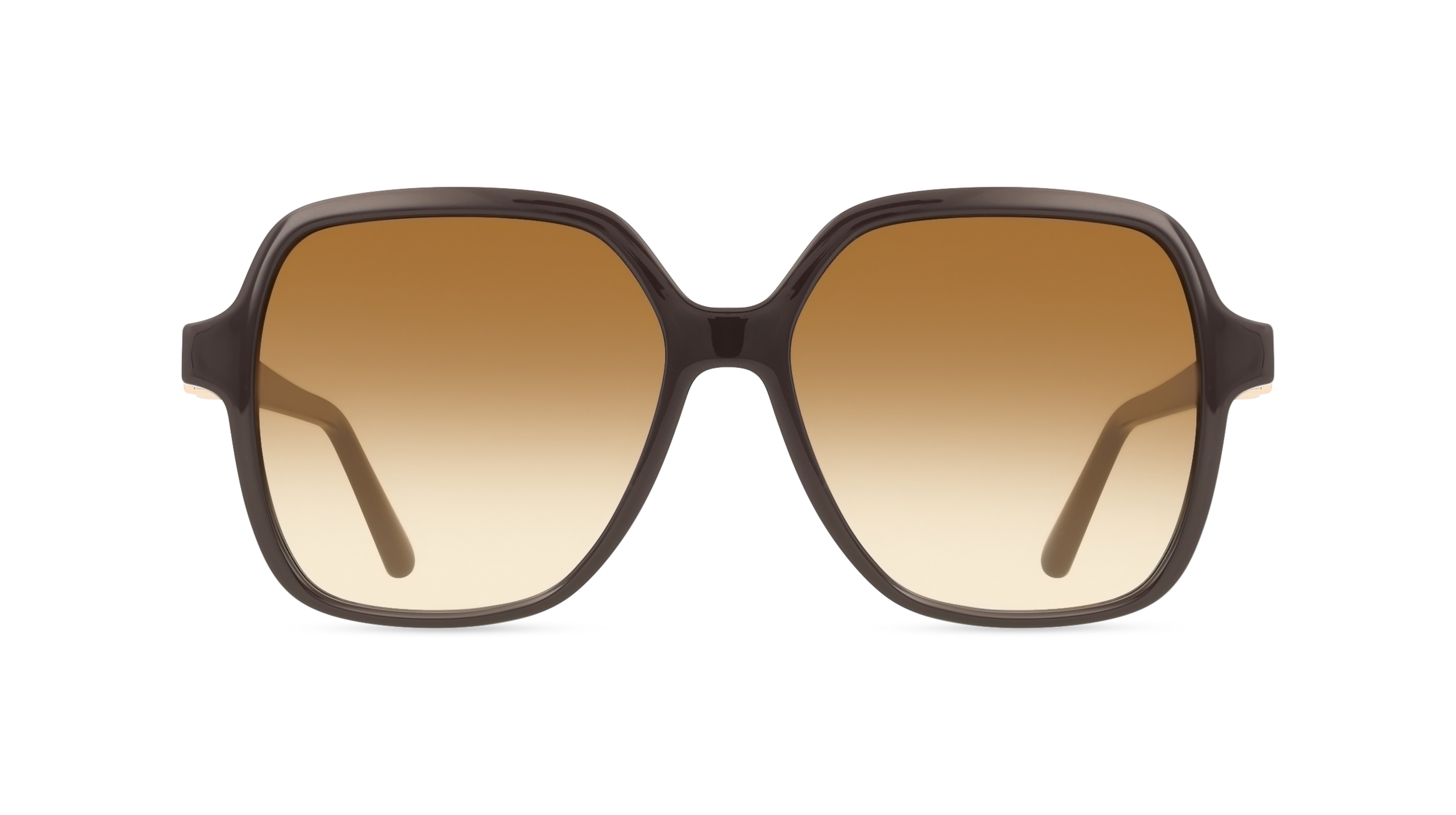 Ferragamo SF1083S
