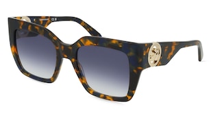 variant 21846 / Longchamp LO734S / Czarny Hawana