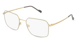 variant 14907 / Fielmann MI 056 CL / Grau Gold
