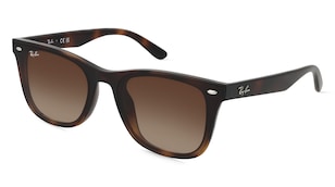 variant 18638 / Ray-Ban RB4420 / Havanna