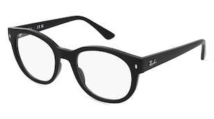 variant 14763 / Ray-Ban RX7227 / Schwarz
