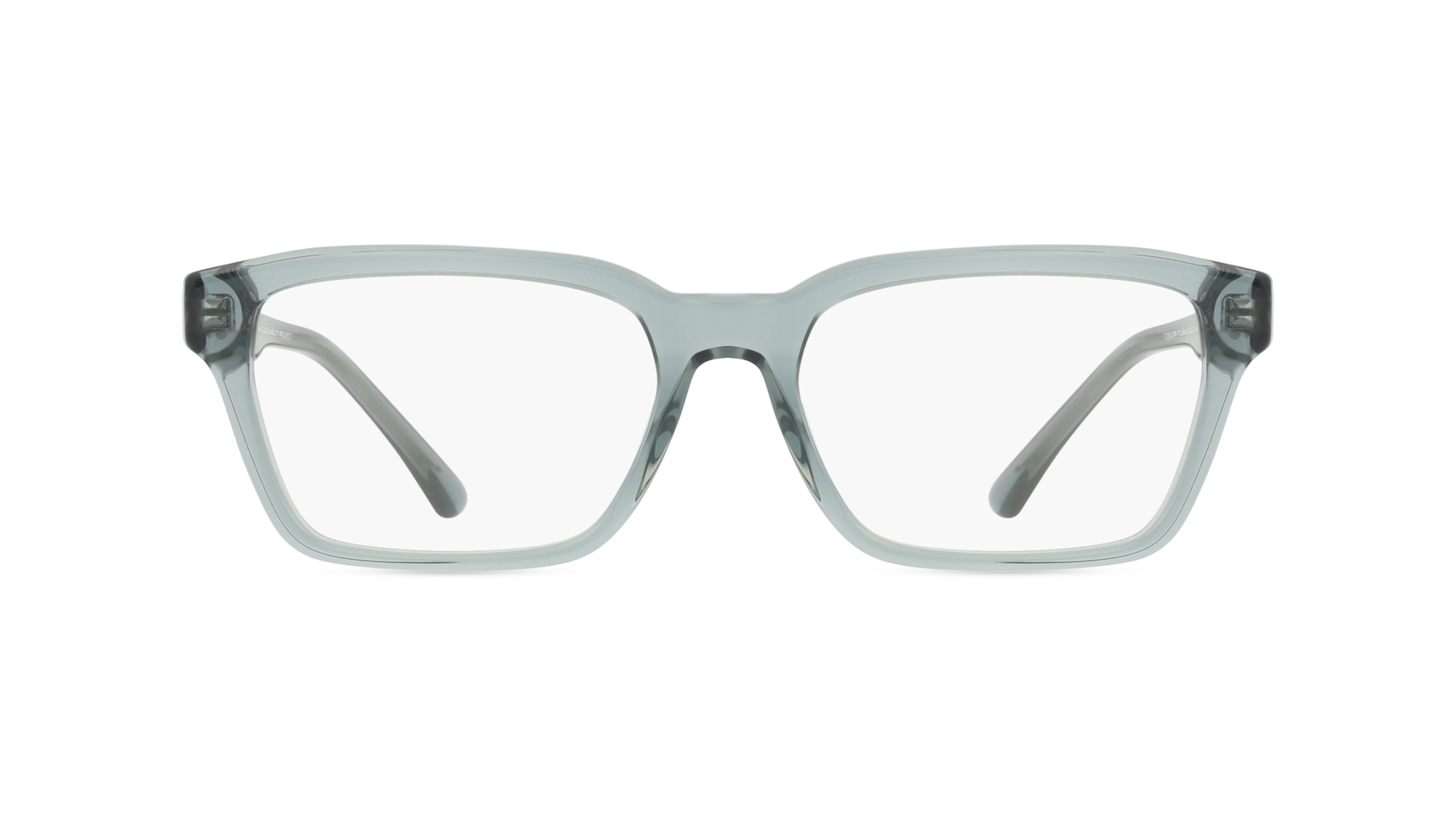 Emporio Armani EA3192