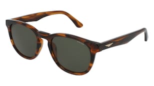 variant 27268 / Police SPLP22 / Braun Glänzend