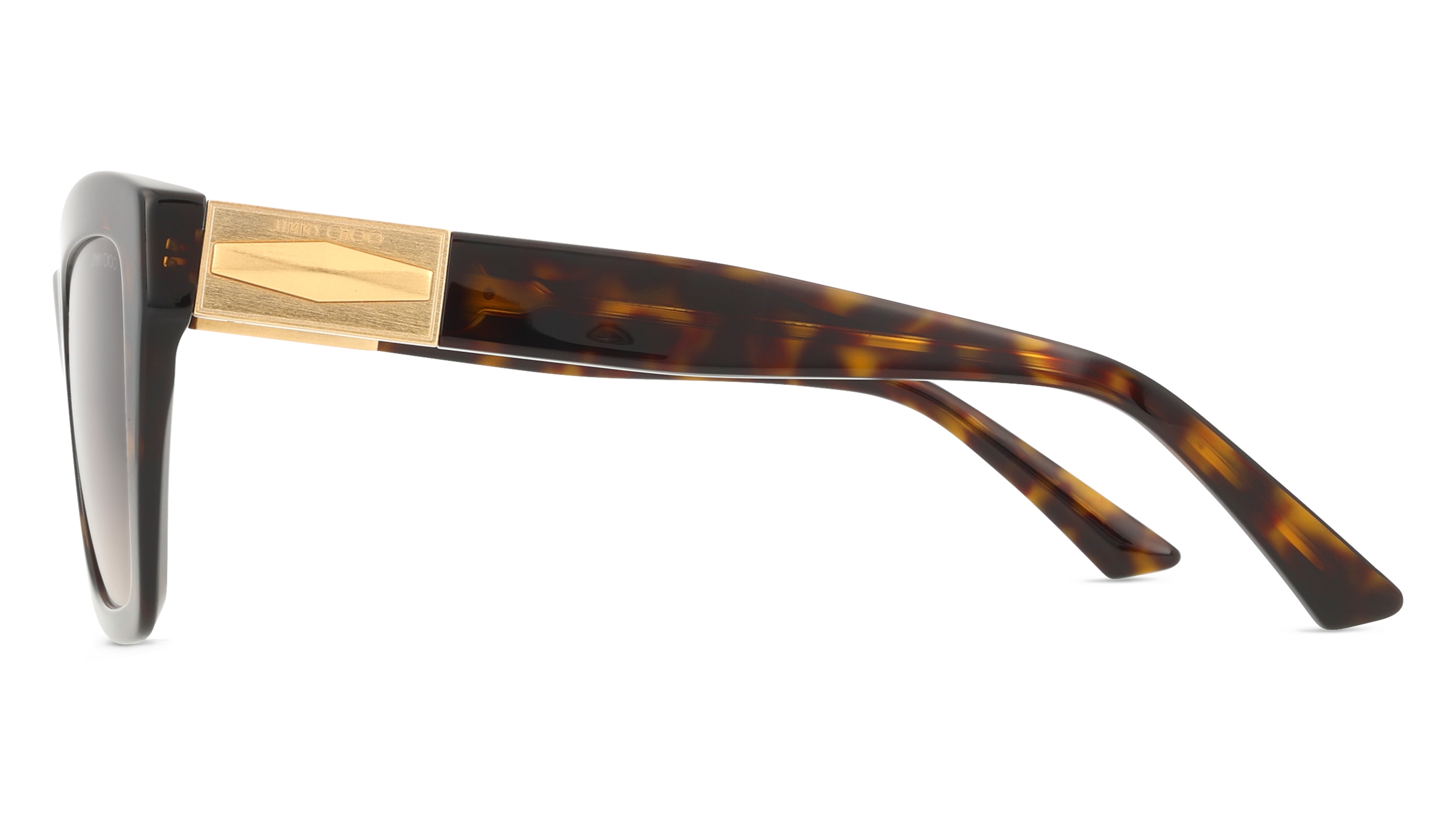 Jimmy Choo JC5031