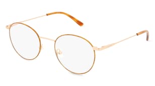 variant 25736 / Calvin Klein CK19119 / Havanna Světlá