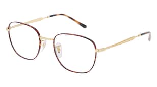 variant 29846 / Ray-Ban RX6534 / Havanna Matt
