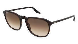 variant 18616 / Ray-Ban RB2203 / Havanna