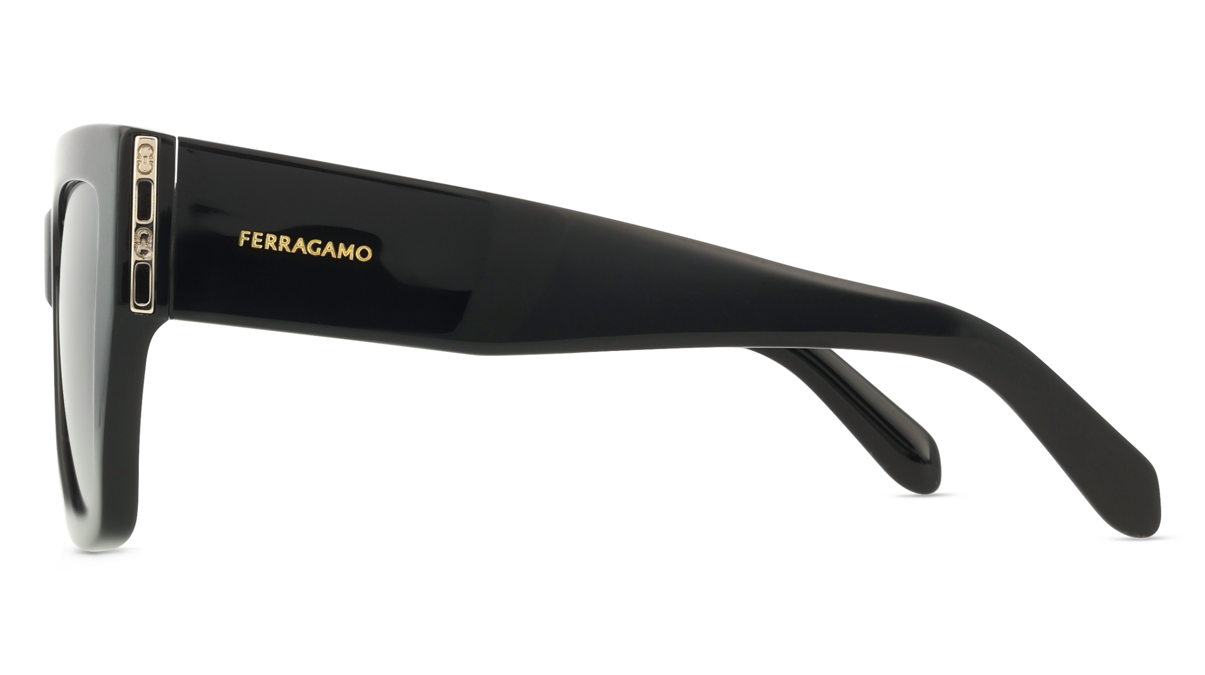 Ferragamo SF1104S