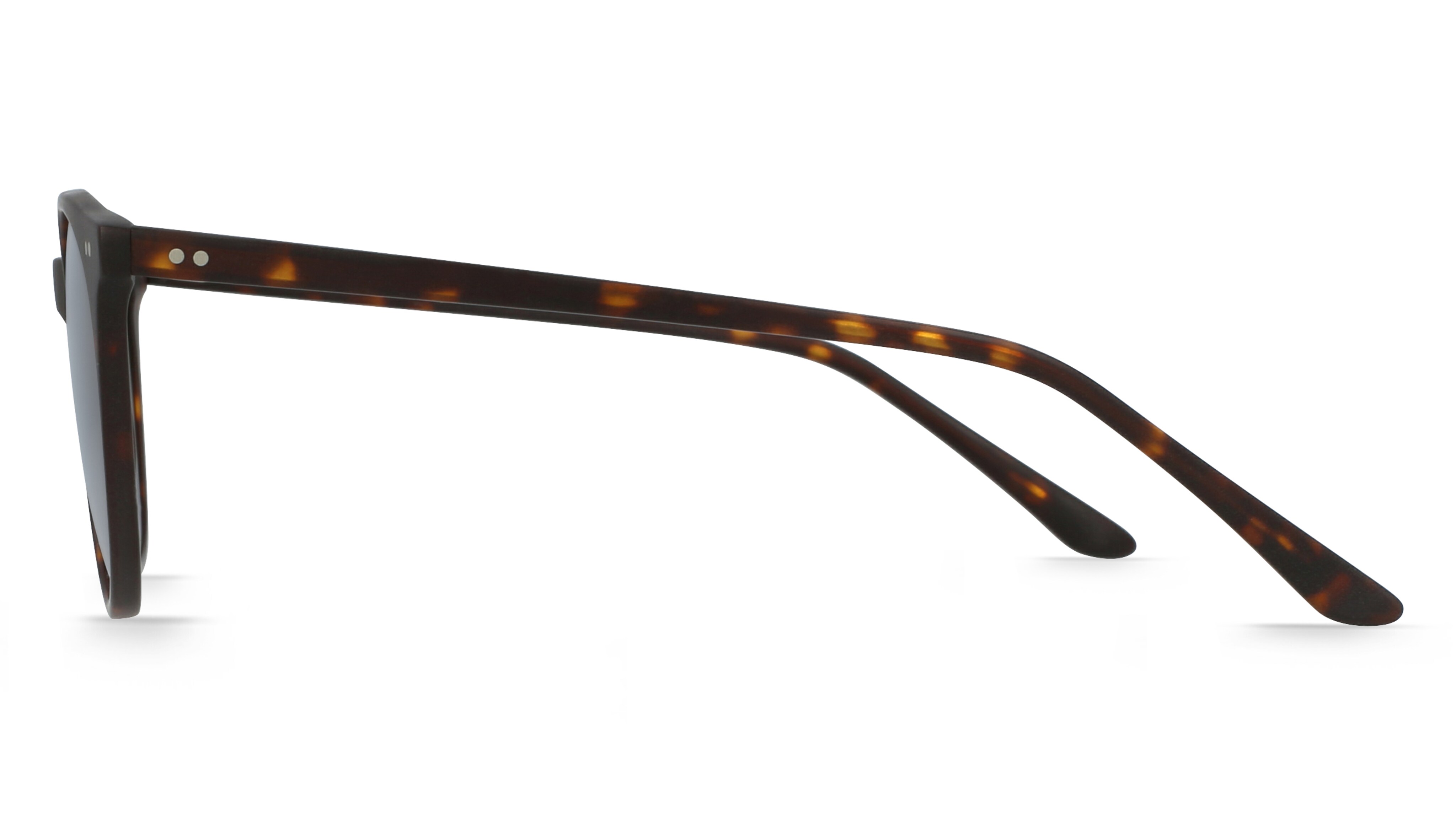 Fielmann IC 013 SUN CL