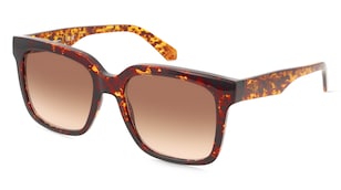 variant 30053 / Calvin Klein Jeans CKJ25624S / Havanna Dunkel