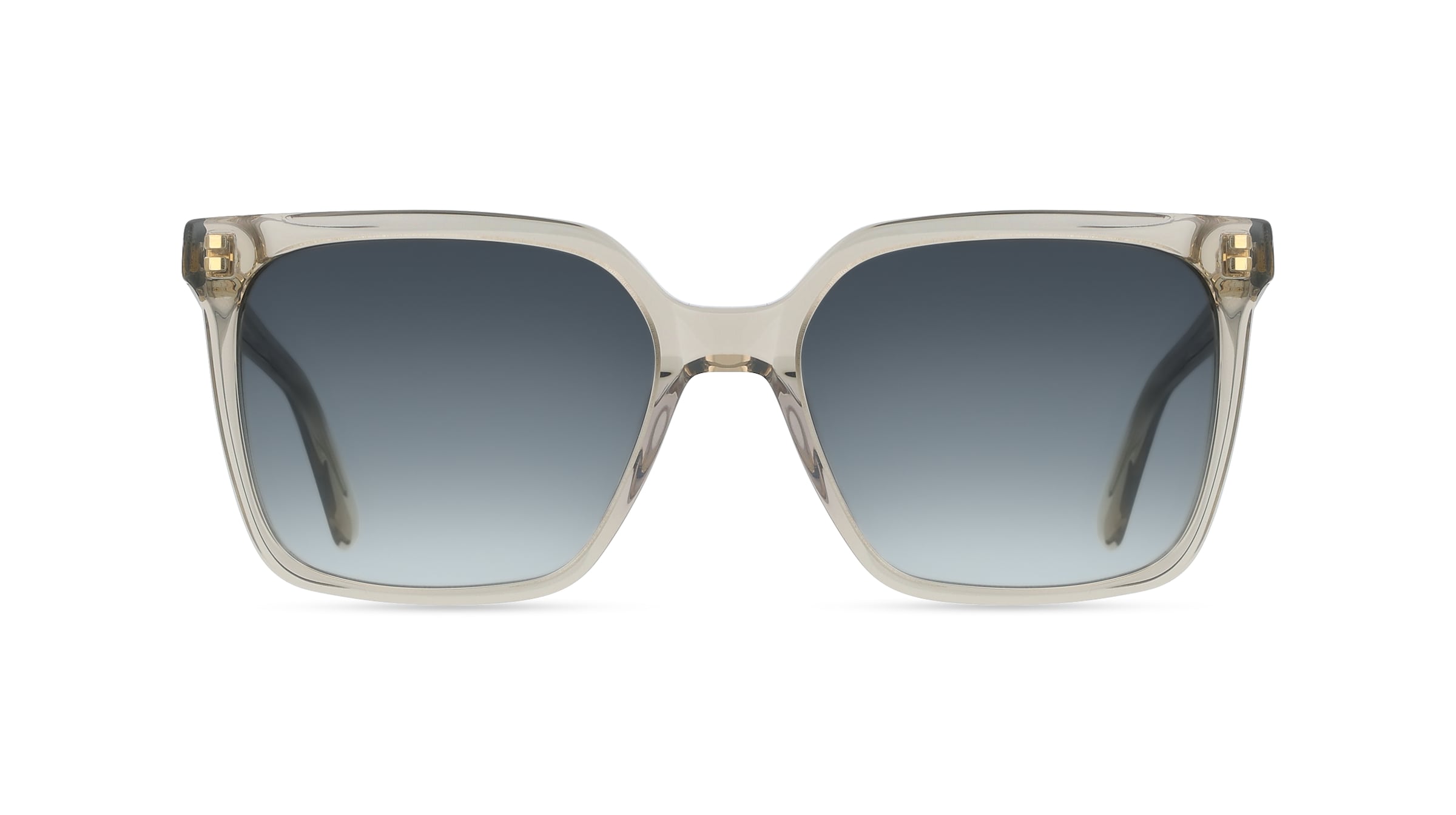 Ferragamo SF2102S