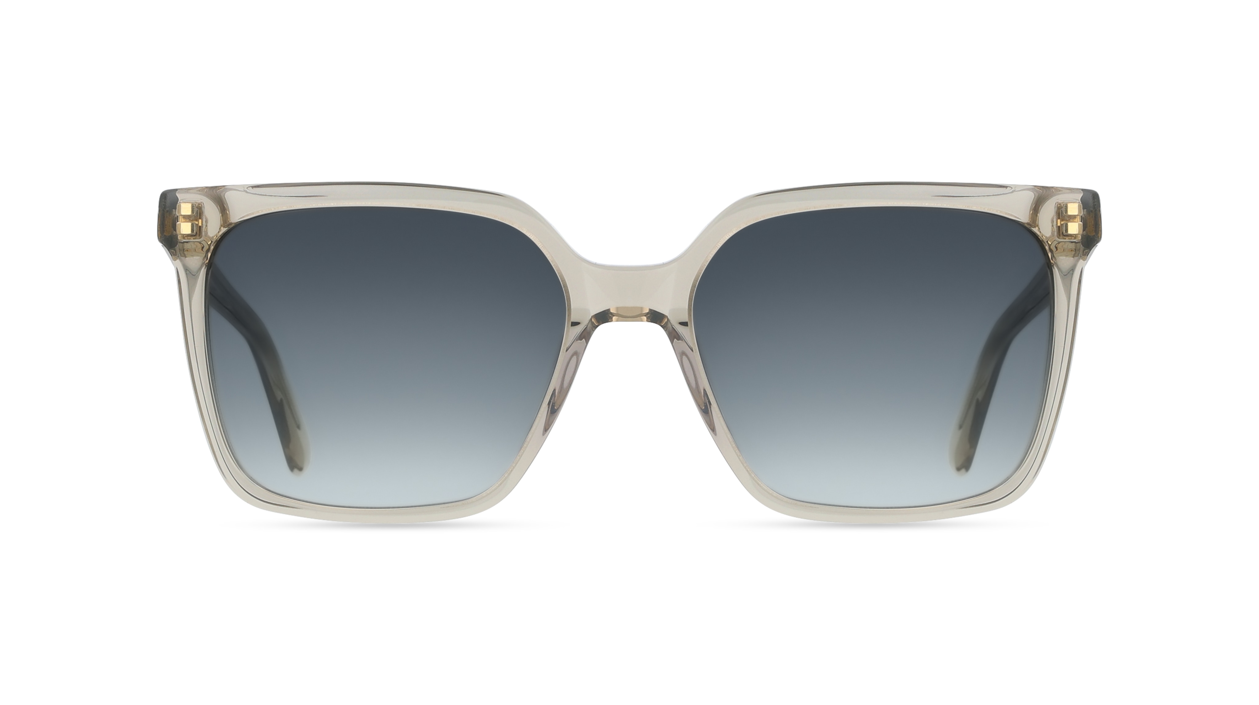 Ferragamo SF2102S