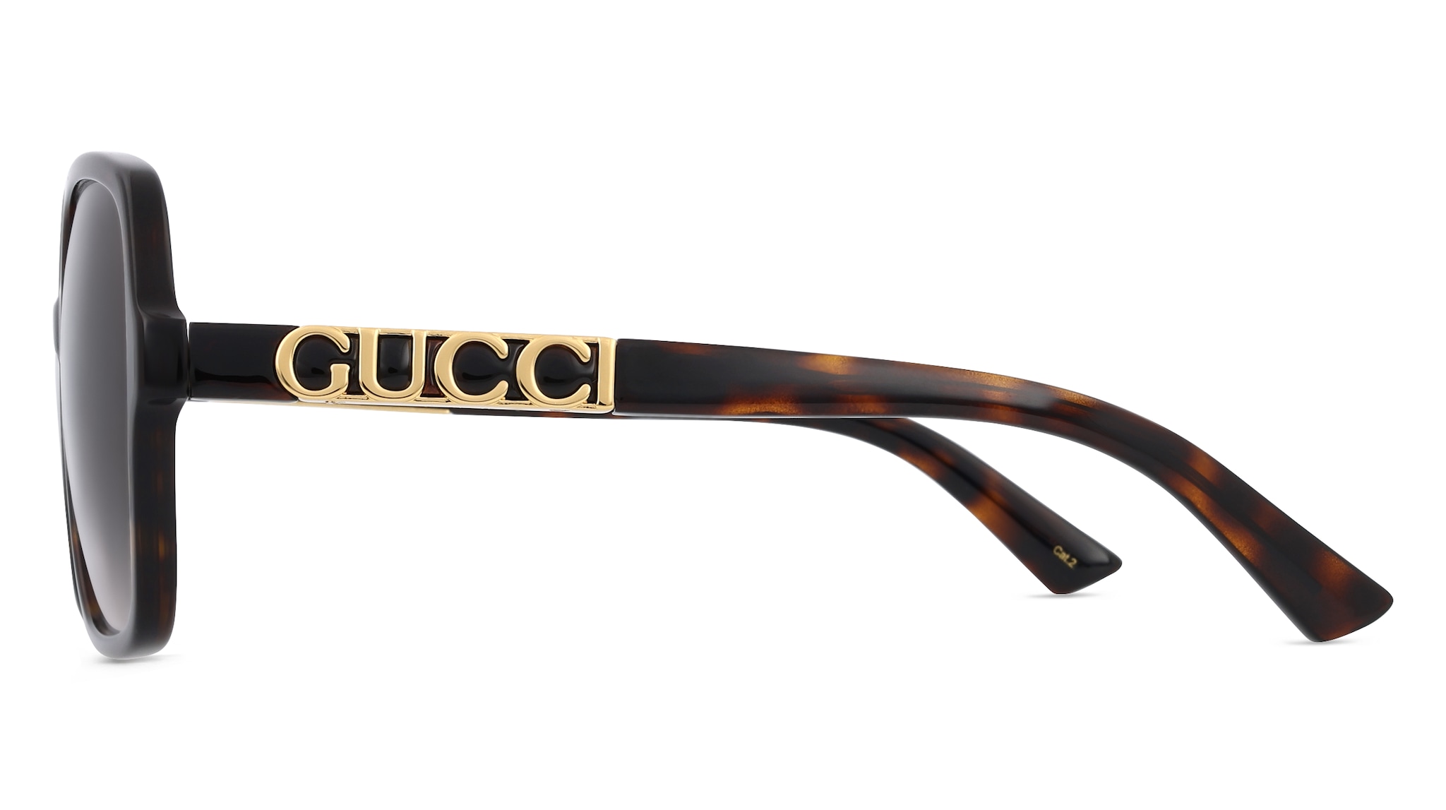 Gucci GG1189S