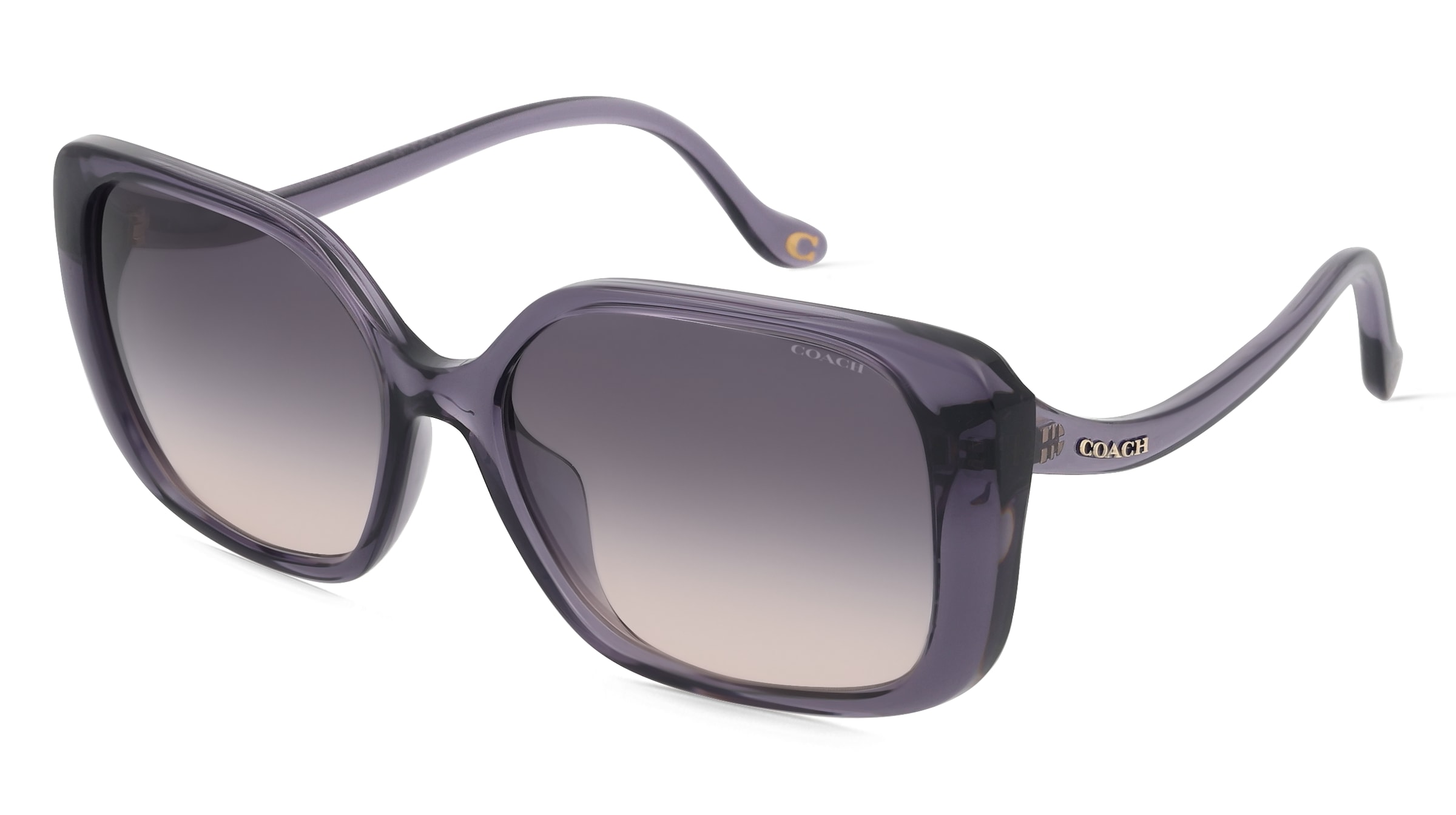 variant 18452 / Coach HC8376U / Violett Transparent