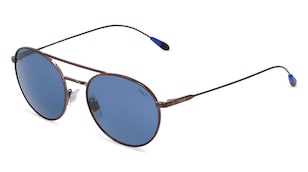 variant 6458 / Polo by Ralph Lauren PH3136 / Gun