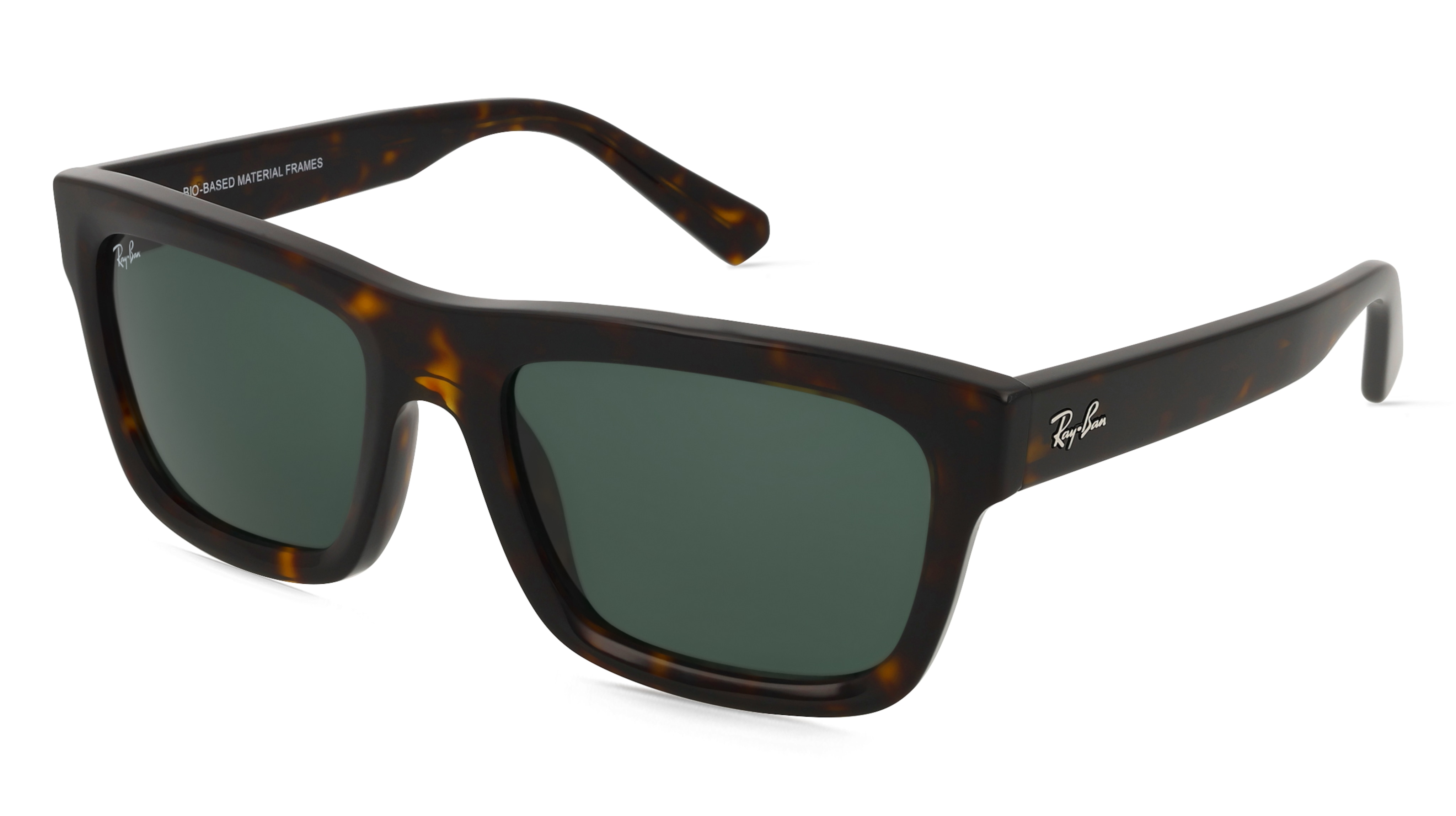 Ray-Ban 0RB4396 WARREN