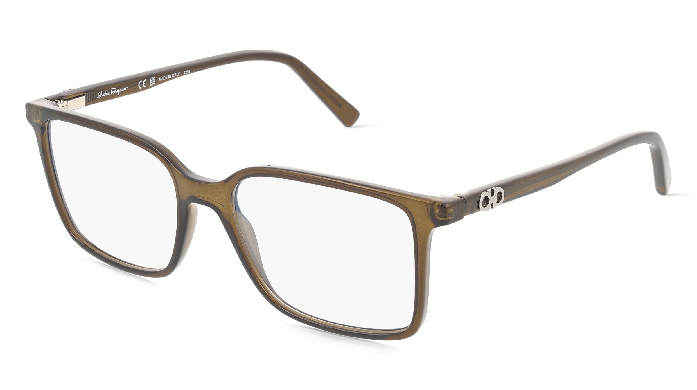 variant 27940 / Ferragamo SF2954 / Kryształowy Khaki