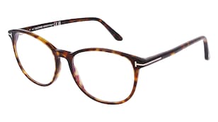 variant 23348 / Tom Ford FT5810-B / Havanna
