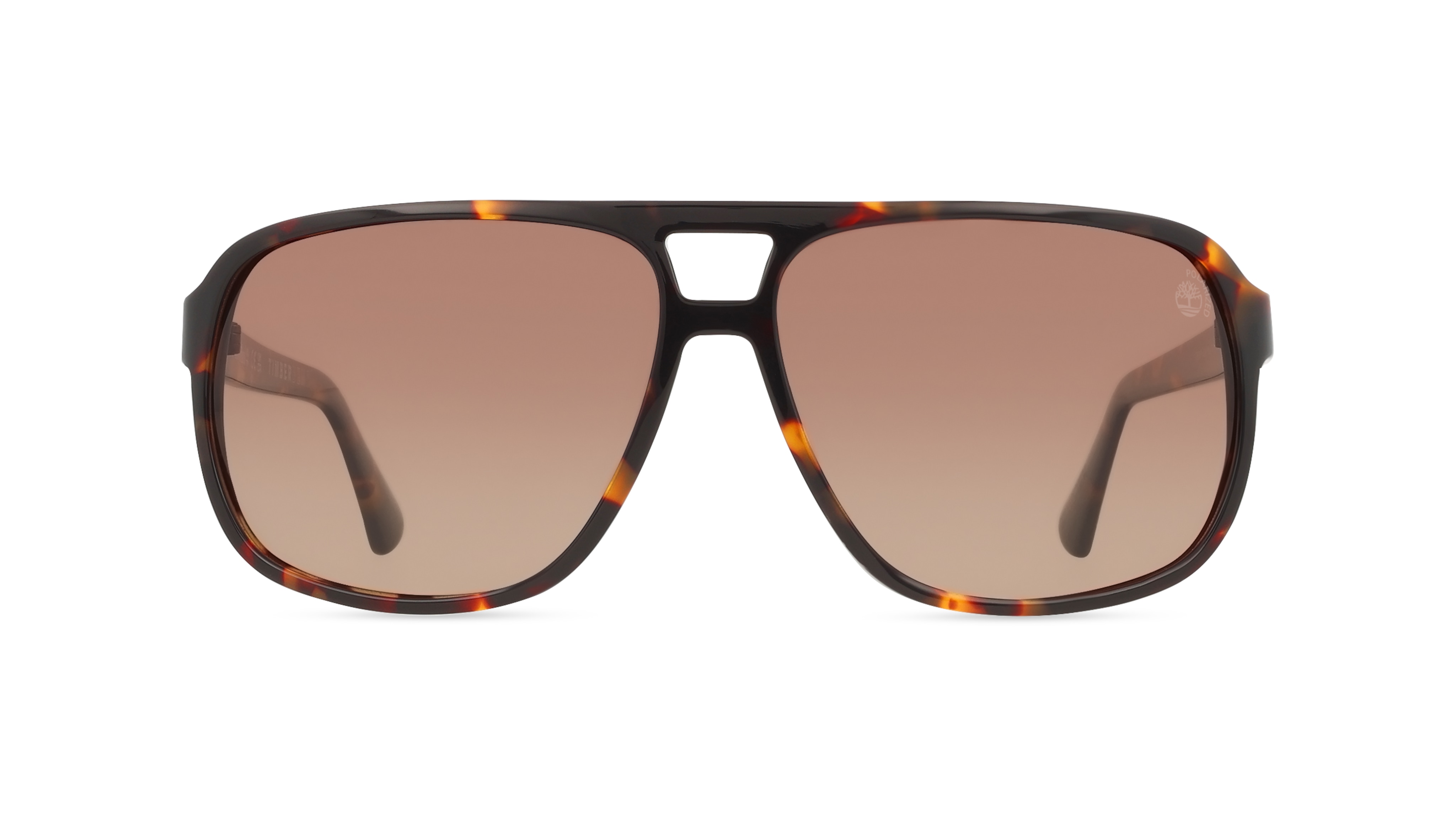 Timberland TB00031