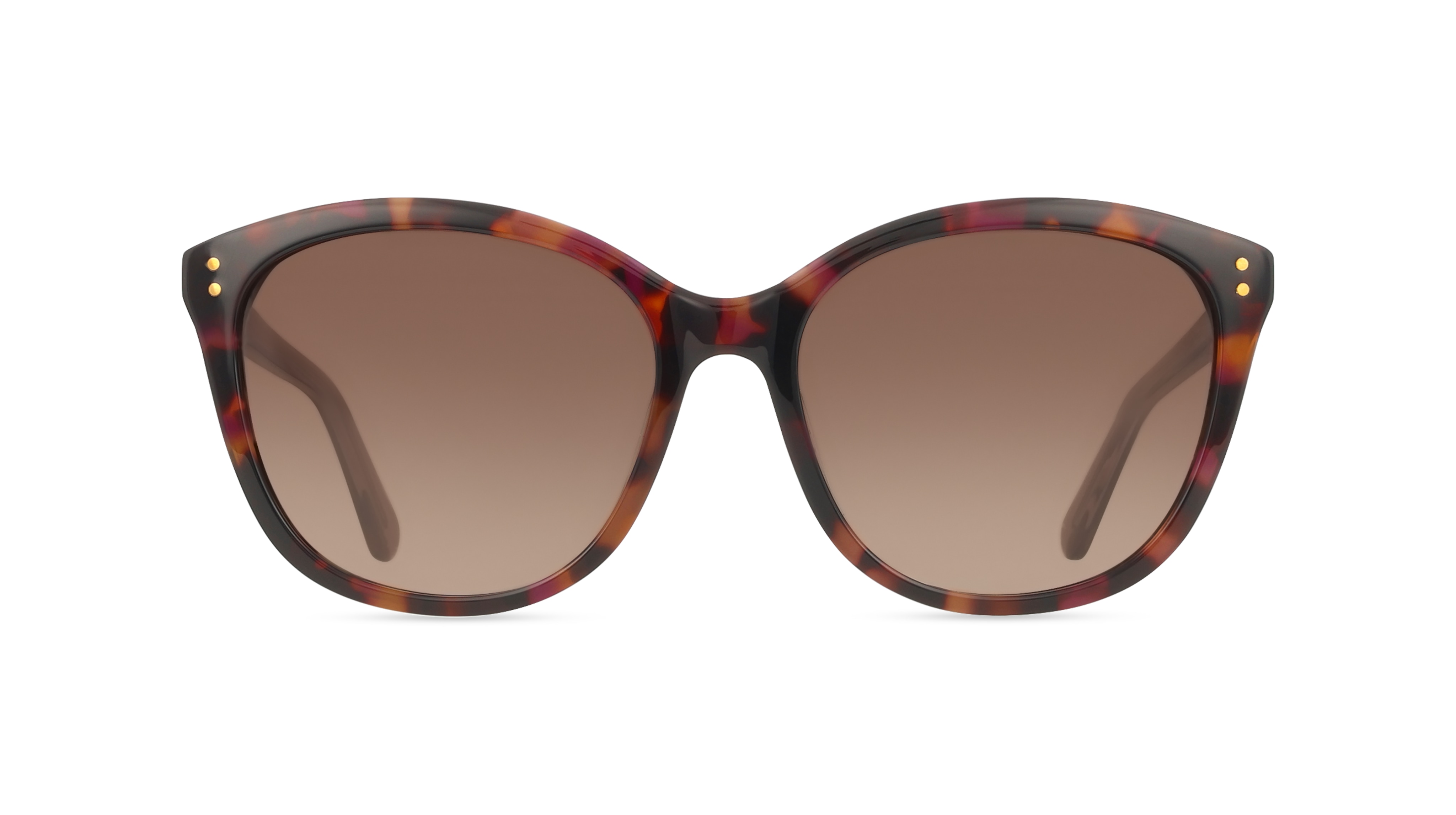 Fossil 207354