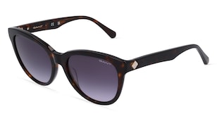 variant 8804 / GANT GA8077 / Hawana Ciemny