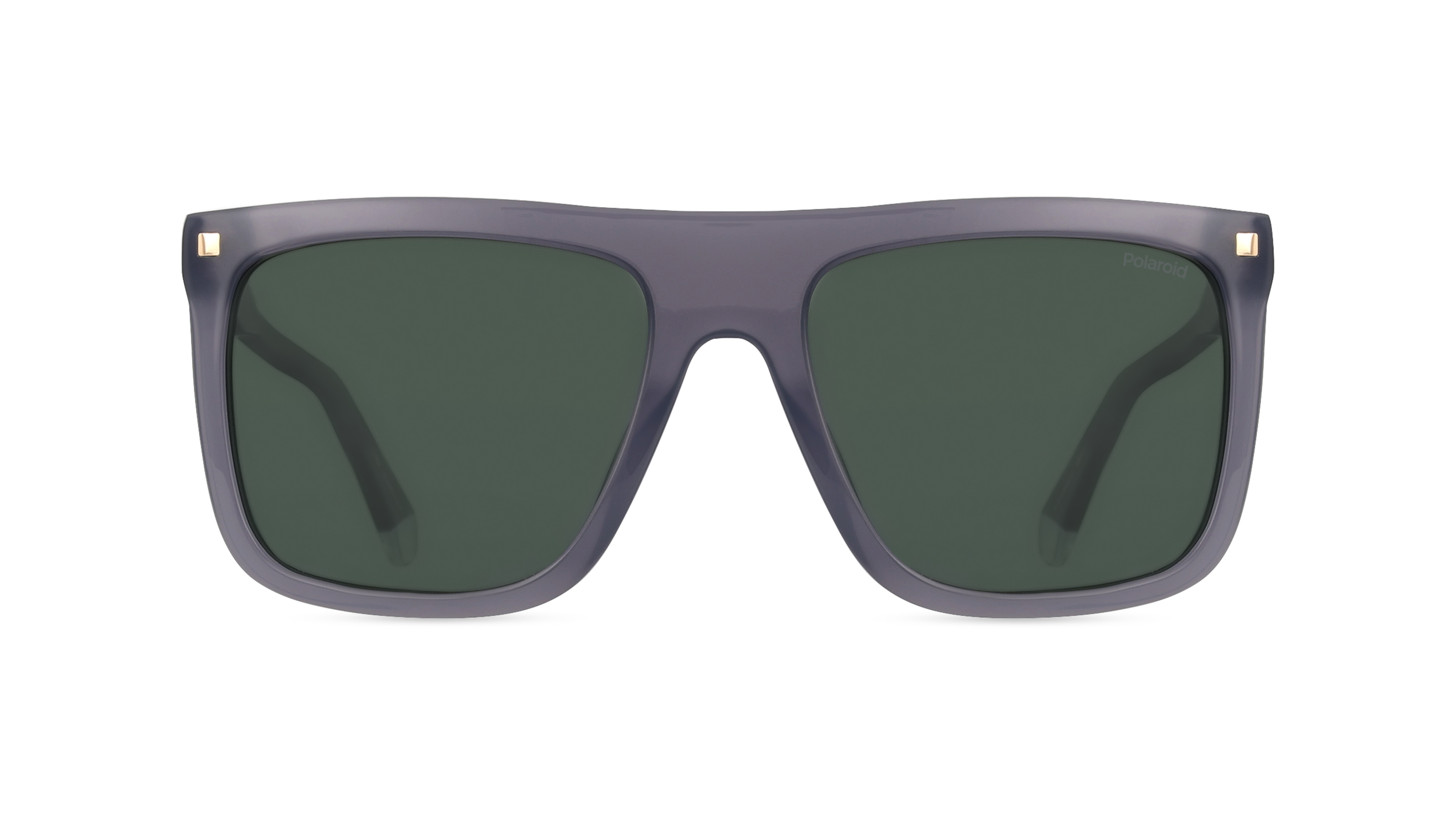 Polaroid PLD 4166/S/X