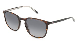 variant 29404 / Tommy Hilfiger TH 2266/S / Havanna