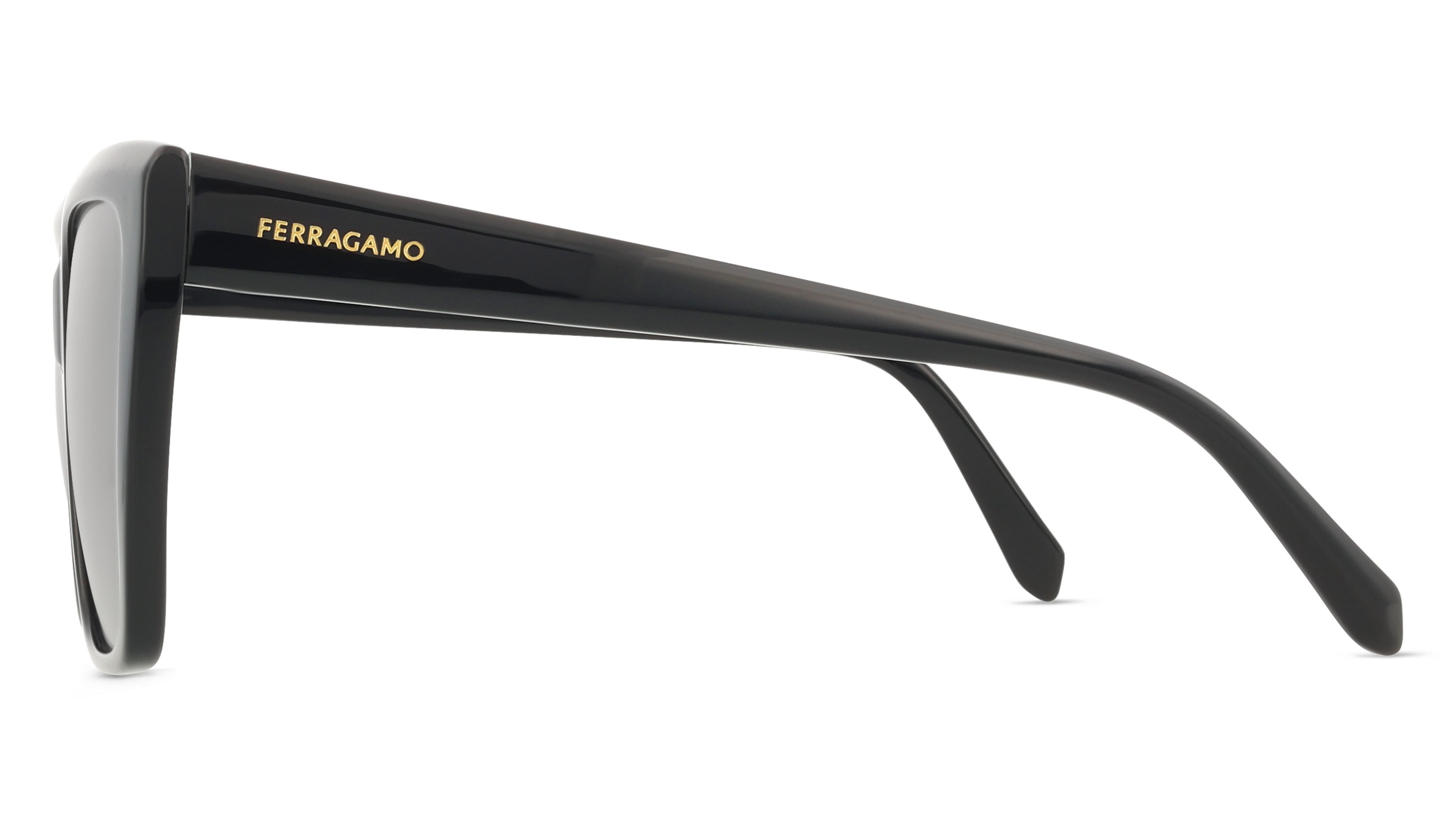 Ferragamo SF1102S