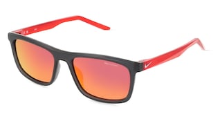 variant 22047 / Nike EMBAR P FV2409 / Grau