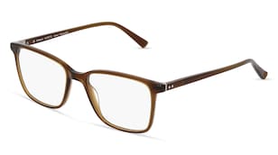 variant 2823 / Fielmann LN 027 CL / Braun Transparent