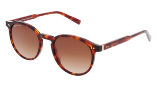 variant 33527 / Marc O’Polo Eyewear 506246 / Havana Scuro