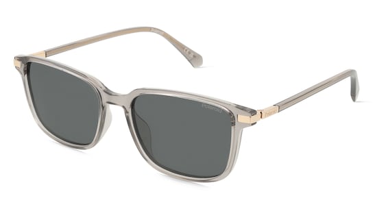 Polaroid PLD 4169/G/S/X Polaroid