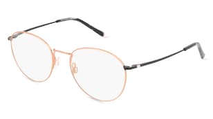 variant 12125 / Humphrey’s eyewear 582275 / Zlatá