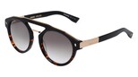 variant 11690 / DSQUARED2 D2 0085/S / avana scuro