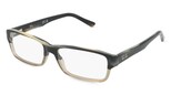 variant 24203 / Ray-Ban RX5169 / gris
