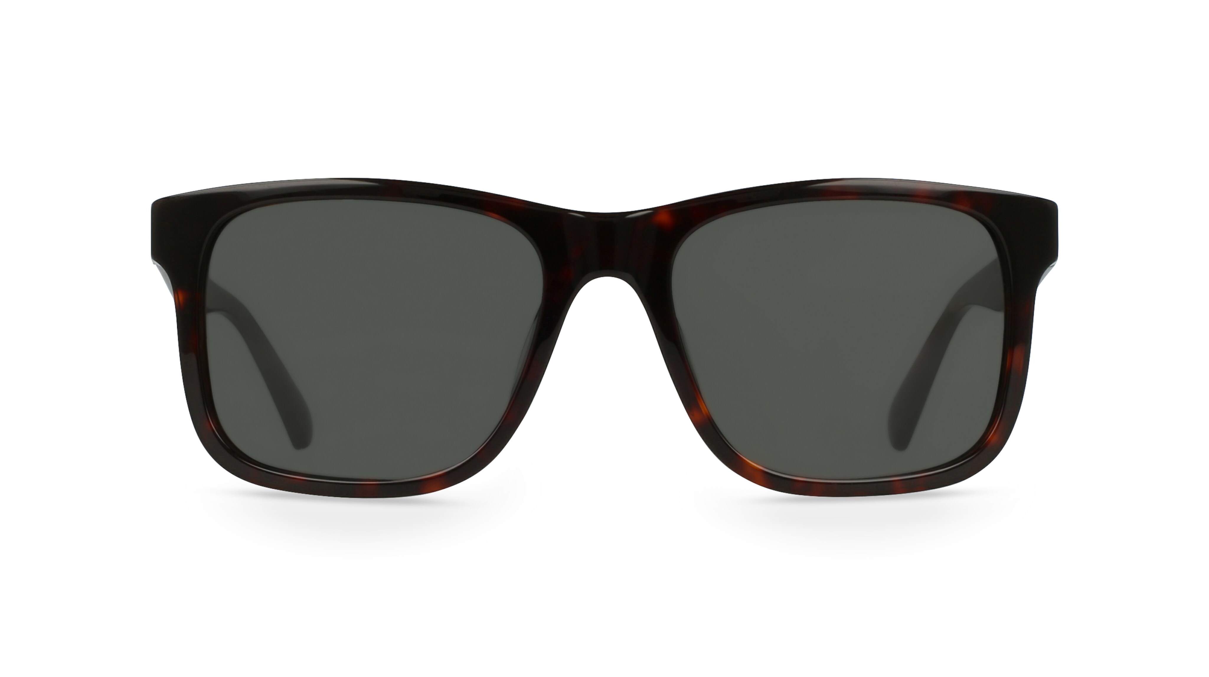 Fielmann LN 008 SUN CL