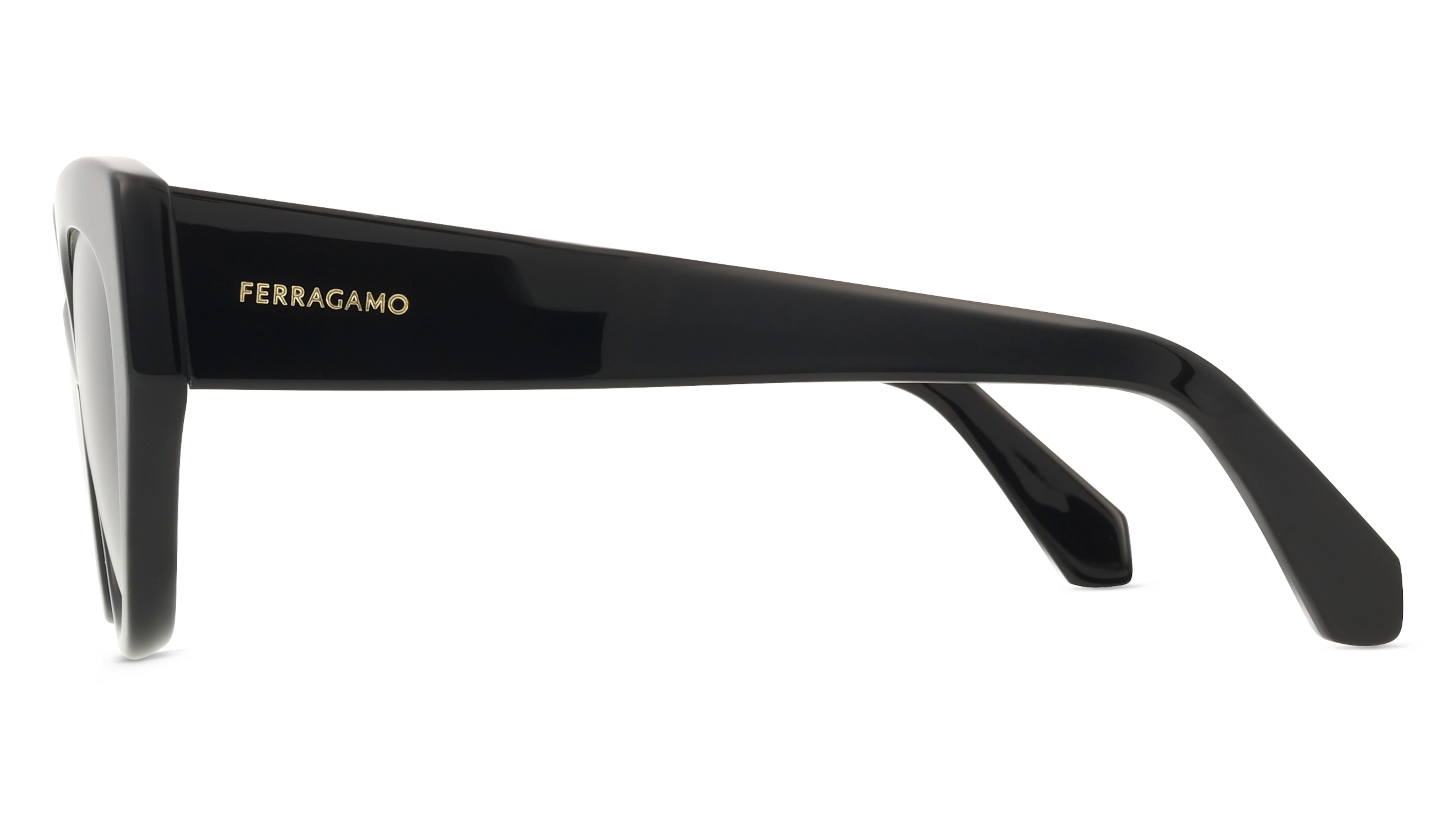 Ferragamo SF1107S