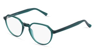 variant 2946 / Fielmann ABC 068 CL / Petrol