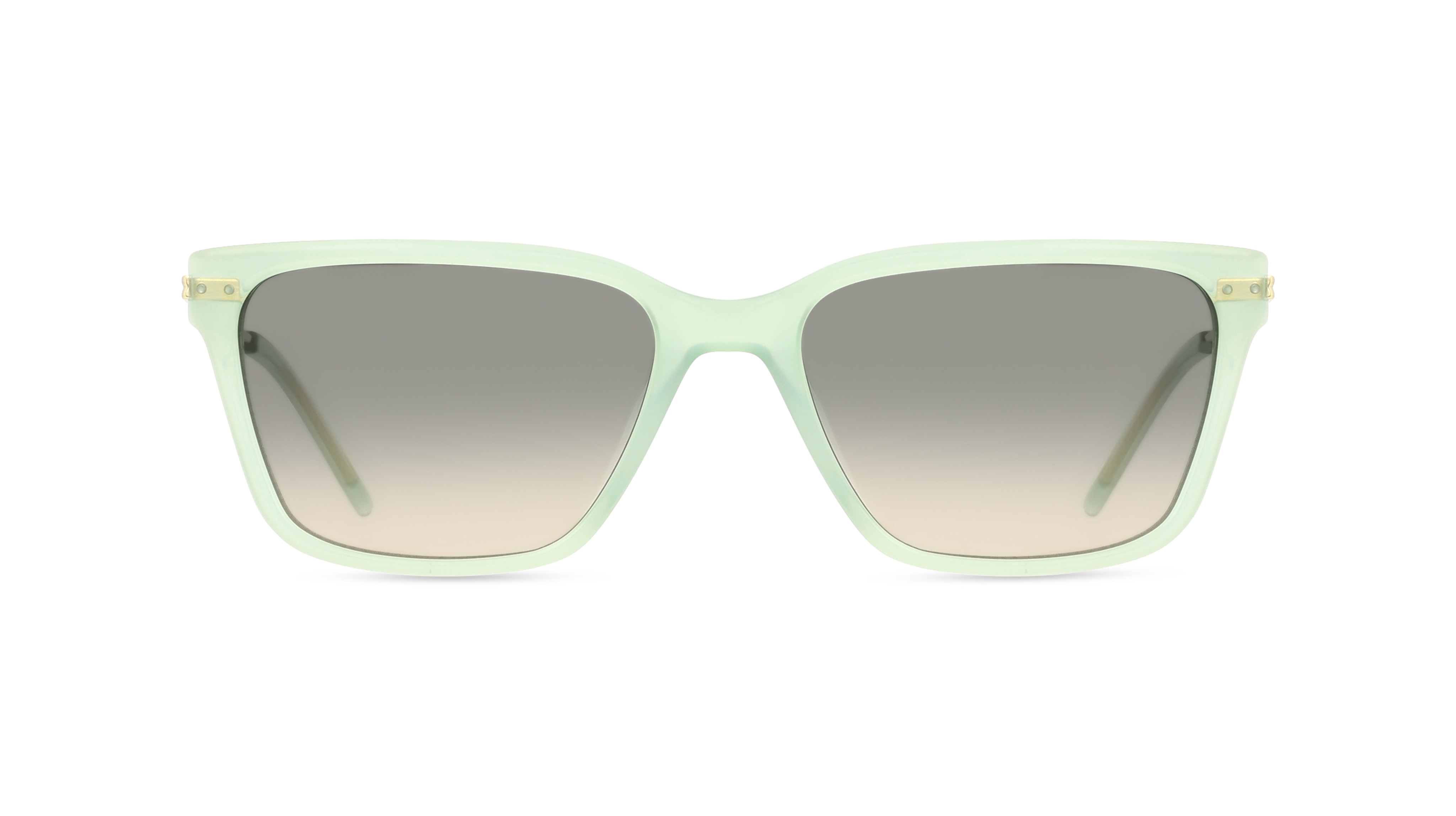 DKNY DK713S