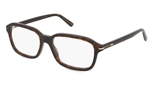 variant 22736 / Gucci GG1446O / Havanna