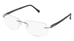 variant 2579 / Fielmann COMFORT 116 CL / Gun