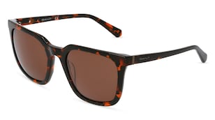 variant 4388 / Gant GA7213 / Havanna